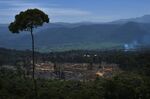 relates to Indonesia Says U.K. Misrepresented Its COP Deforestation Pledge