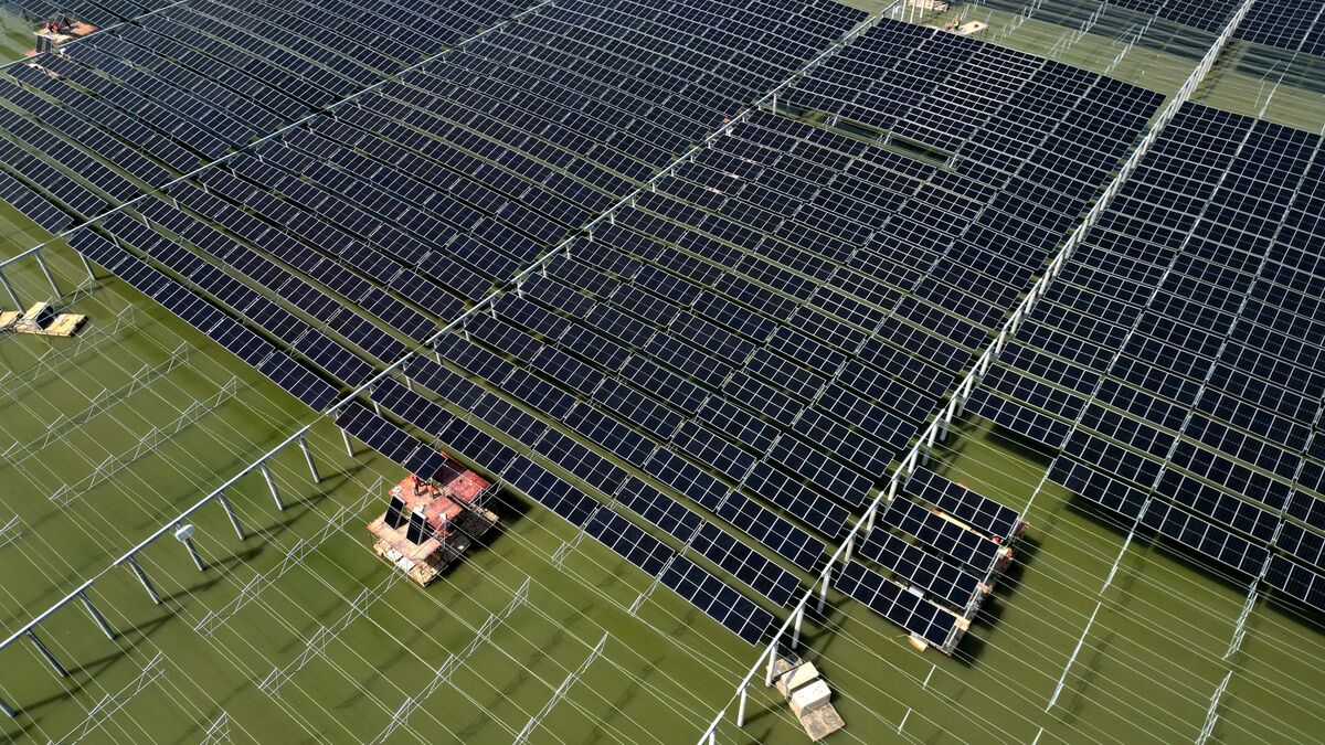 assets.bwbx.io image