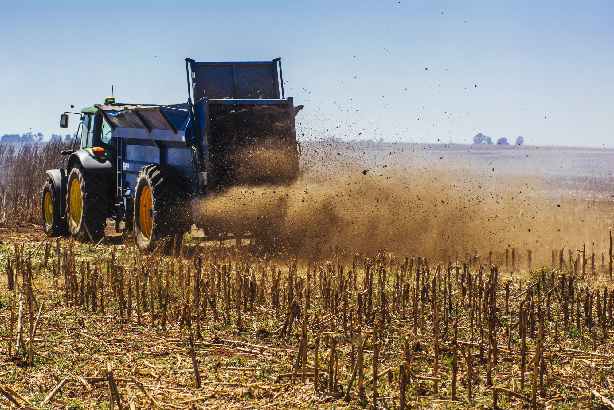 Livestock Farming As Legal Battle Looms Over South Africa's Land-Seizure Plans