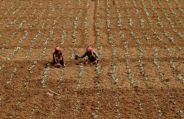 Farmers in Bhubaneswar