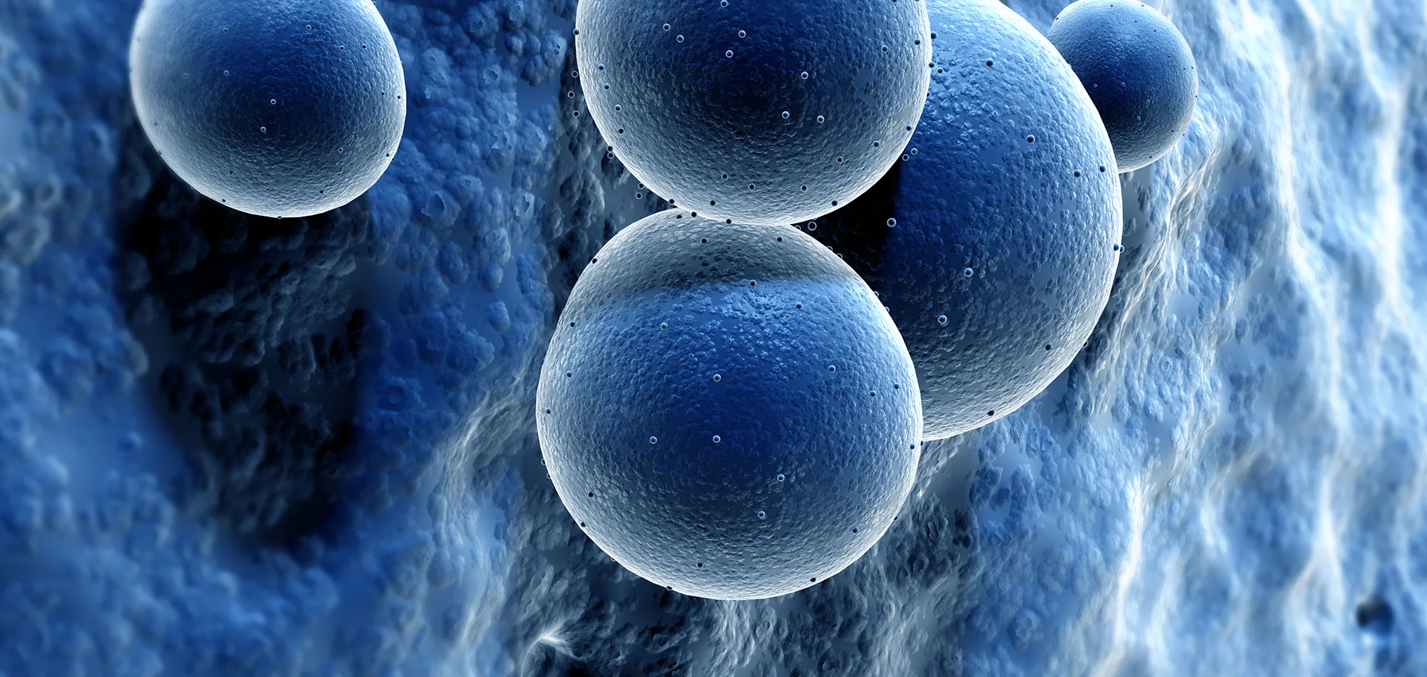 RF virus superbug super bug