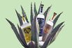 Tequila and Mezcal Are Over. Here’s What to Drink Next