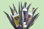relates to Tequila and Mezcal Are Over. Here’s What to Drink Next