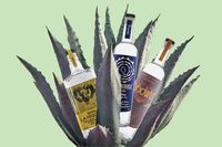 Tequila and Mezcal Are Over. Here’s What to Drink Next