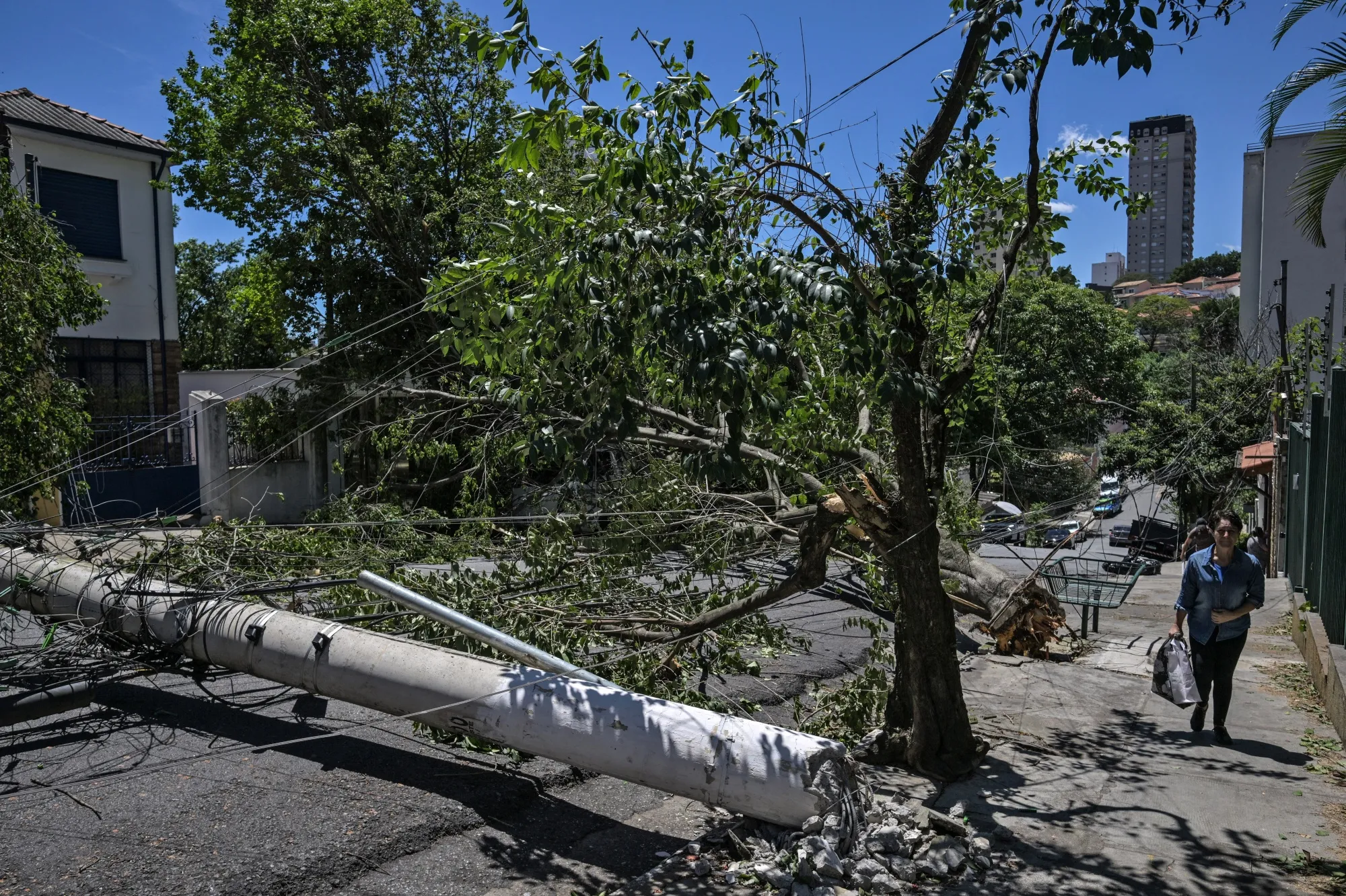 A collapsed utility pole in Sao Paulo on Dec. 11.