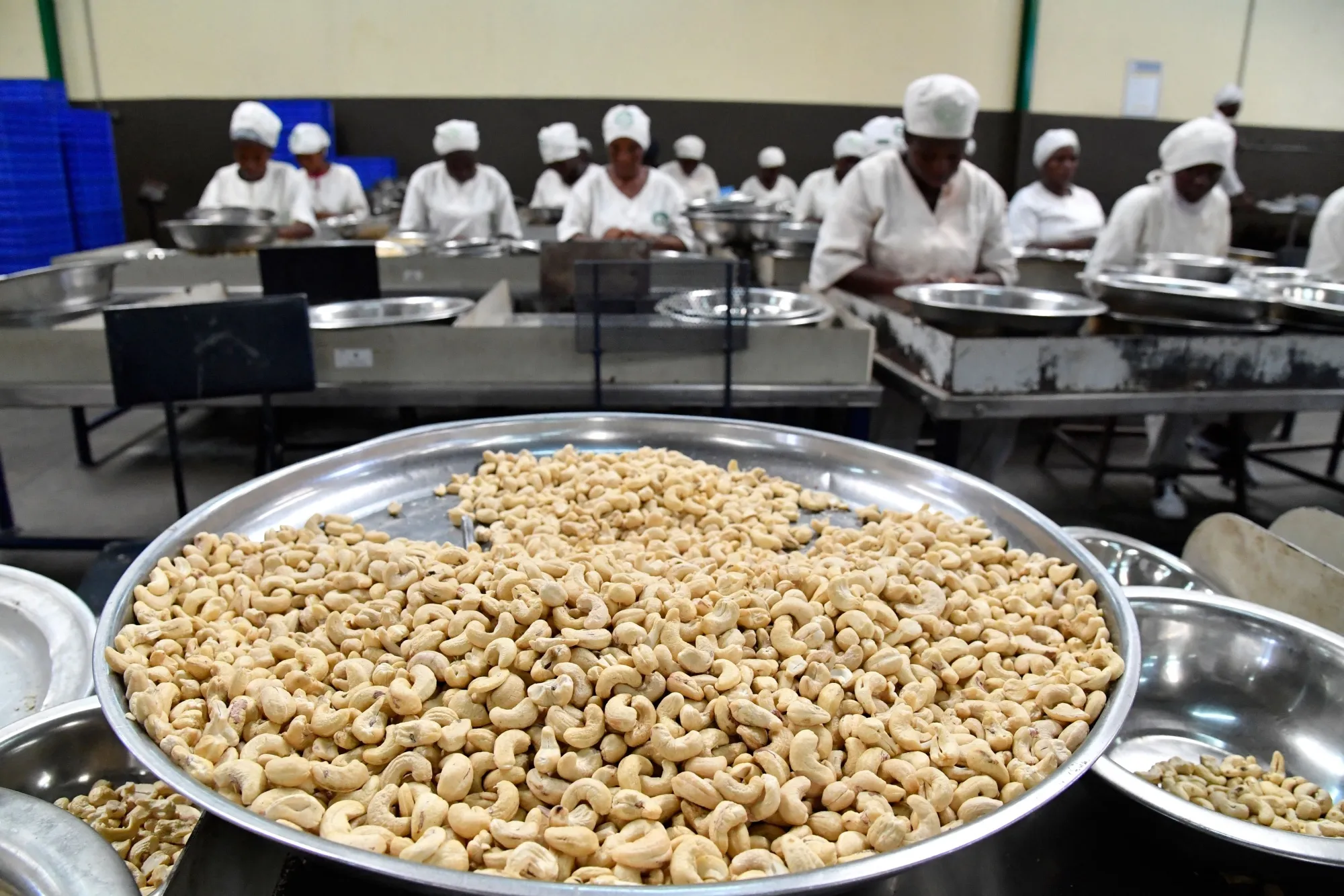 Ygggn Valency Wins Guarantee for Cashew-Waste Bond Arranged by HSBC - Bloomberg