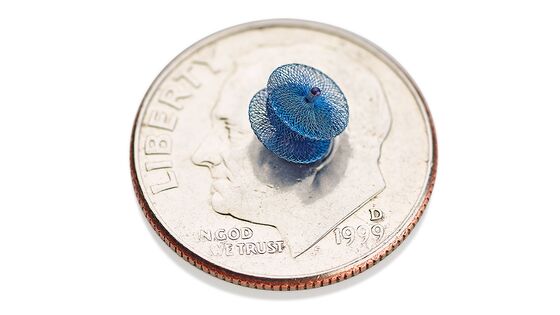 A Pea-Sized Device Is Approved to Close Holes in Hearts of Tiny Infants