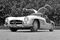 The 1954-57 Mercedes-Benz 300 SL Gullwing.
