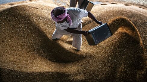 Workers clean a pile of harvested wheat grain in Karnal, Haryana, India.
