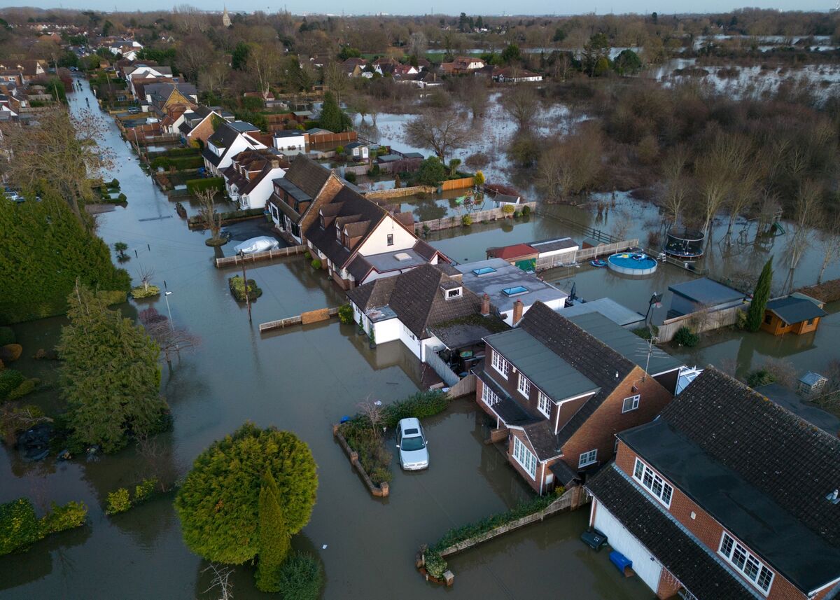 bloomberg.com - Olivia Rudgard - Britain's Garden Habits Are Making Their Homes Harder to Insure