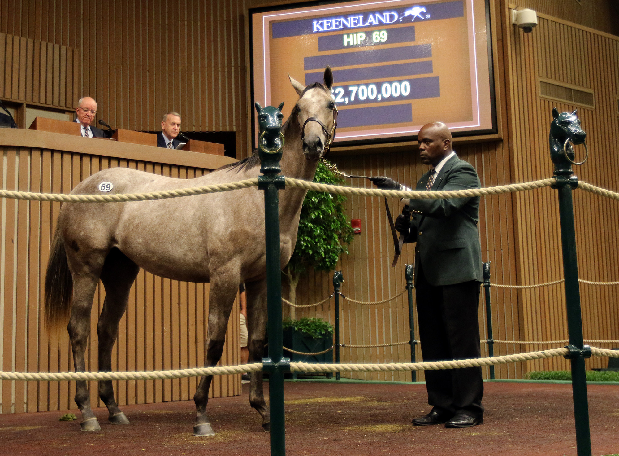 The HighEnd Horse Market Has Finally Recovered From the Financial