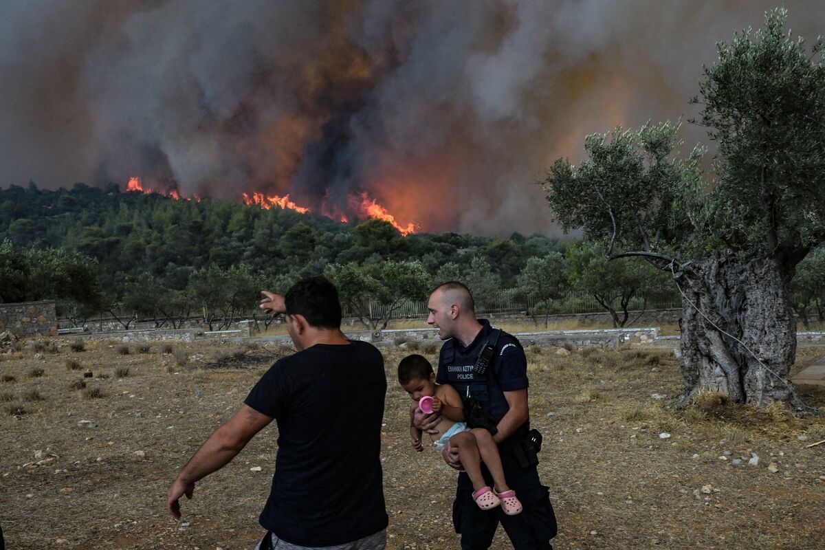 Wildfires raging in Europe: What, where and why?, Explainer News