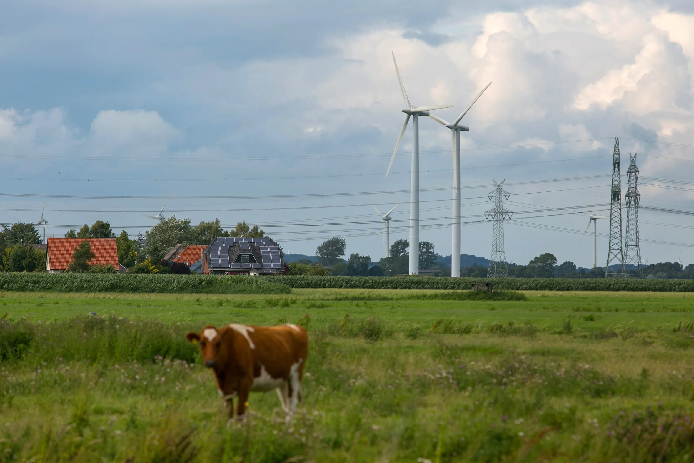 German Onshore Wind Banks
