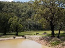 A purpose built dam at the Douglas property in Nelligen, Thursday 25th January, 2023.