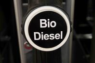 Germany Drops Biofuel Plans