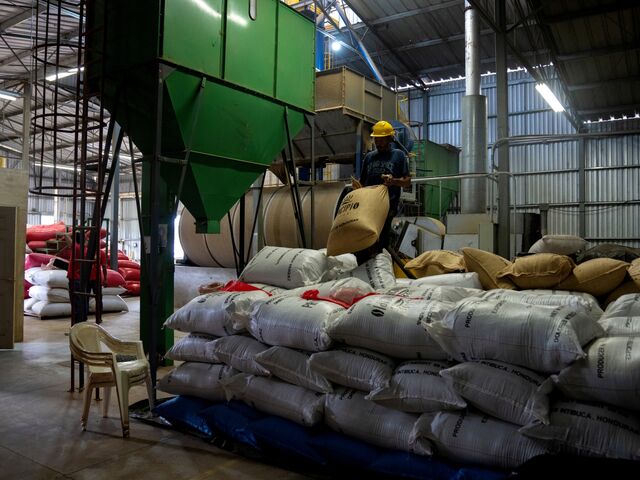 onilla heaves a sack of coffee beans on top of a processed shipment ready for export at the coop's warehouse in Subirana