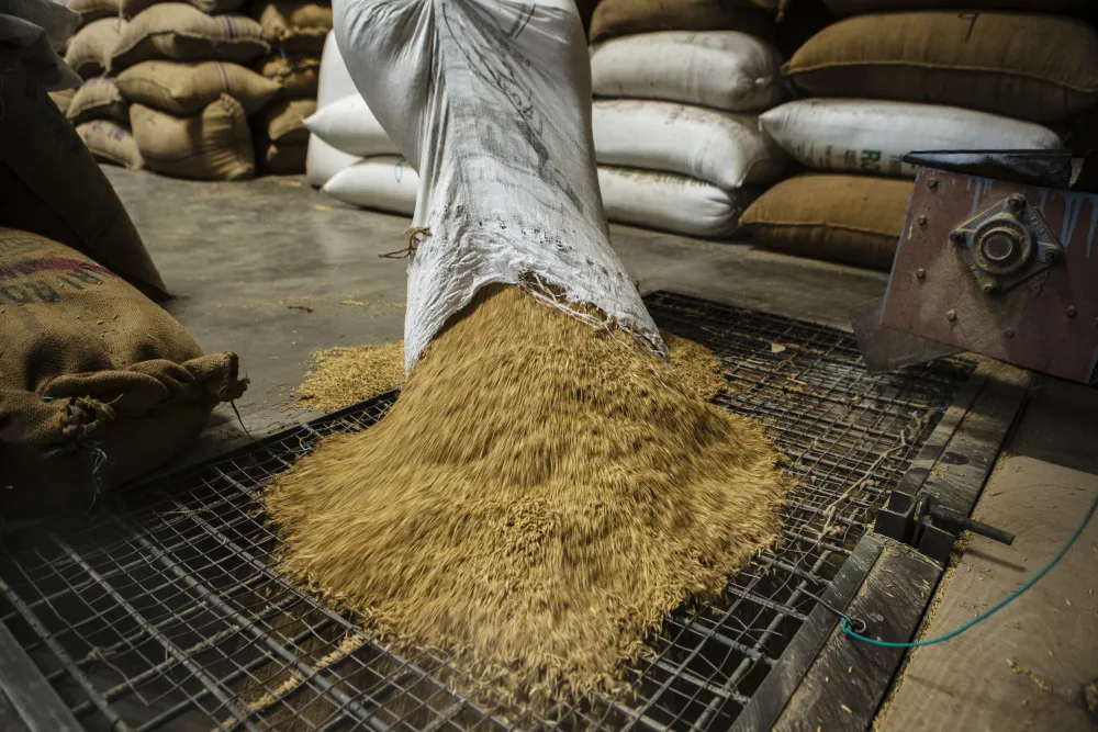 The government’s rice inventories totaled almost 38 million tons last month, according to FCI.