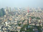 A view of downtown Tokyo from the Mori Tower in Roppongi Hills.