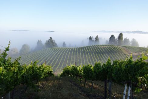 Chardonnays from the 'True' Sonoma Coast Are as Good as 
