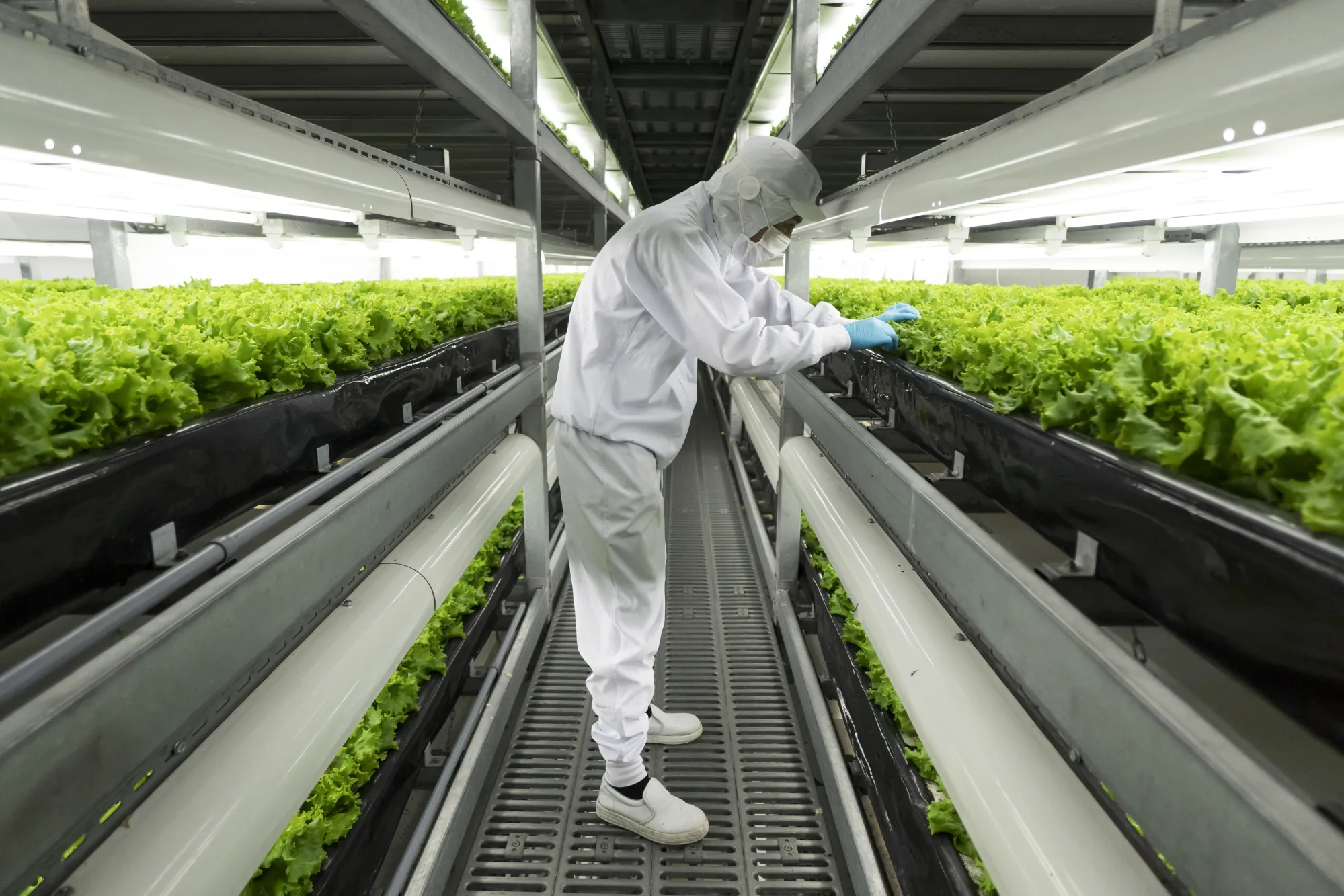 Skyscraper Farms Are About to Go Global - Bloomberg