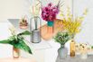 Eight Vases Worth the Desk Space
