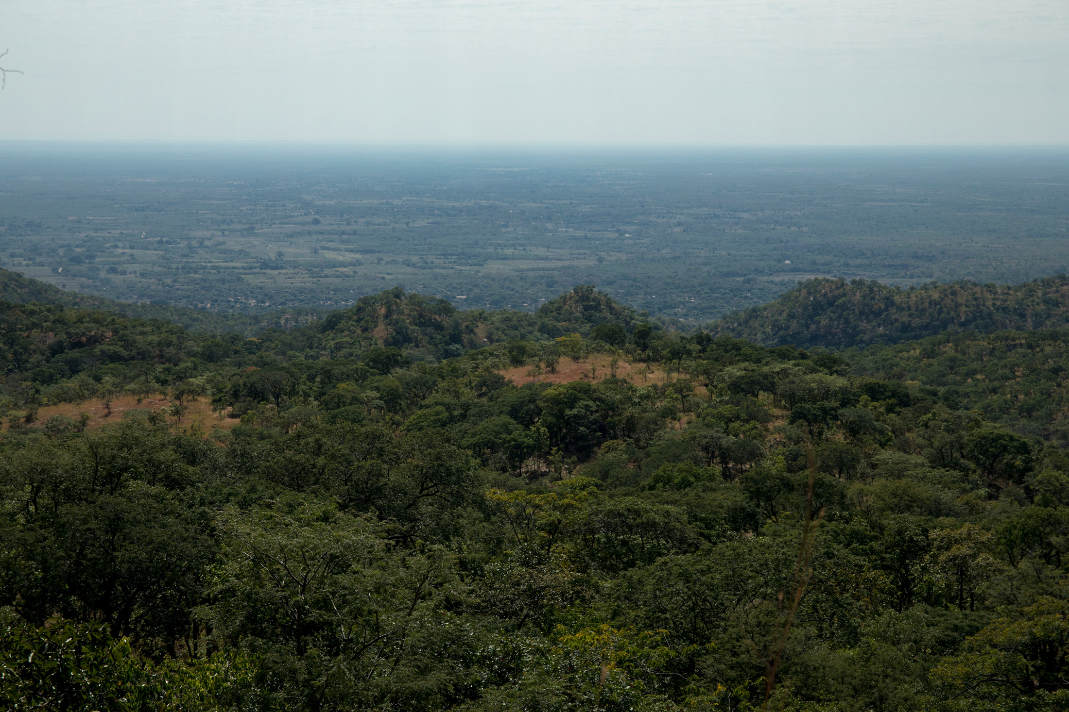 By safeguarding forests from the flames, Carbon Green Africa says its volunteers are storing carbon dioxide in the form of trees.