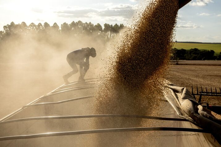 A Brazilian Soybean Harvest As Seasonal Crop Sees Cut