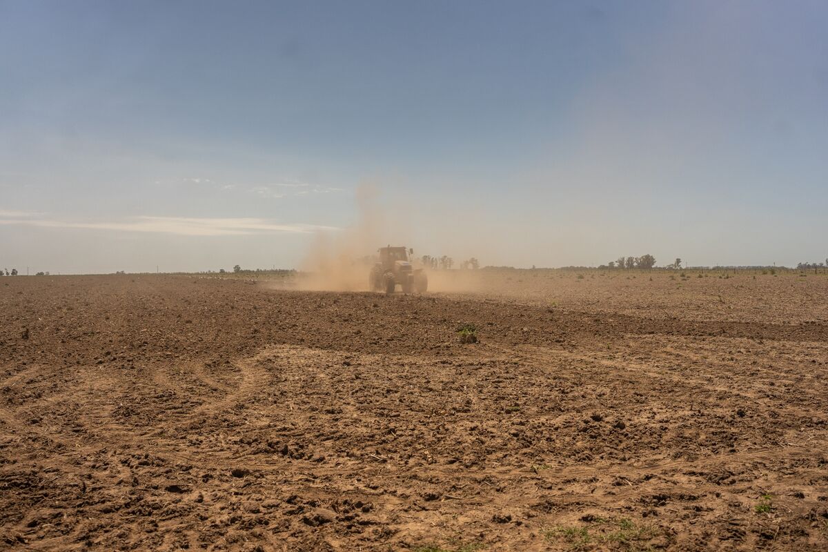 El Nino Promises Even Bigger Soy, Corn Crops in Argentina - Bloomberg