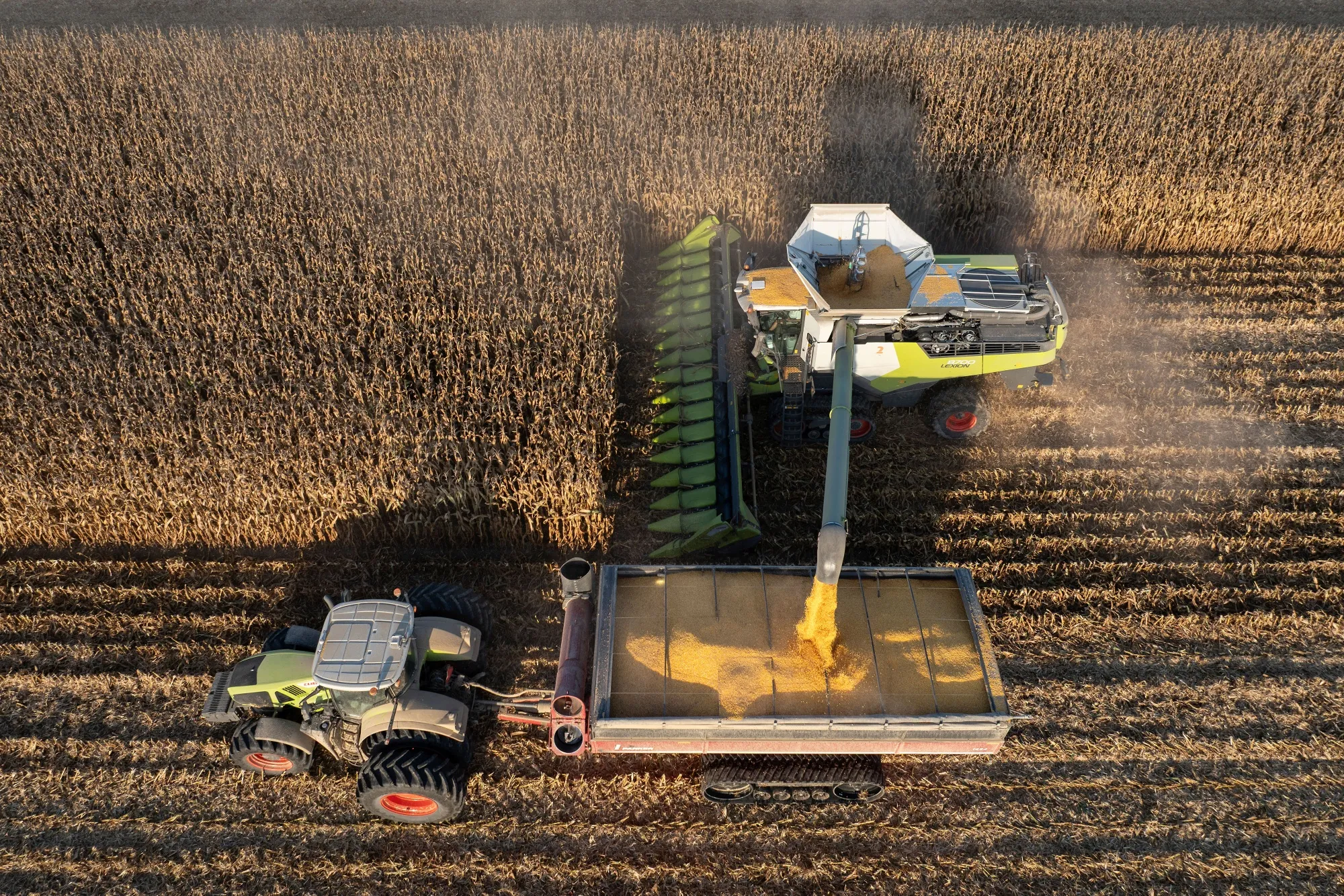 U.S.-China Tariff Deal Creates Selective Opportunities | Agricultural Sellers Face Margin Compression