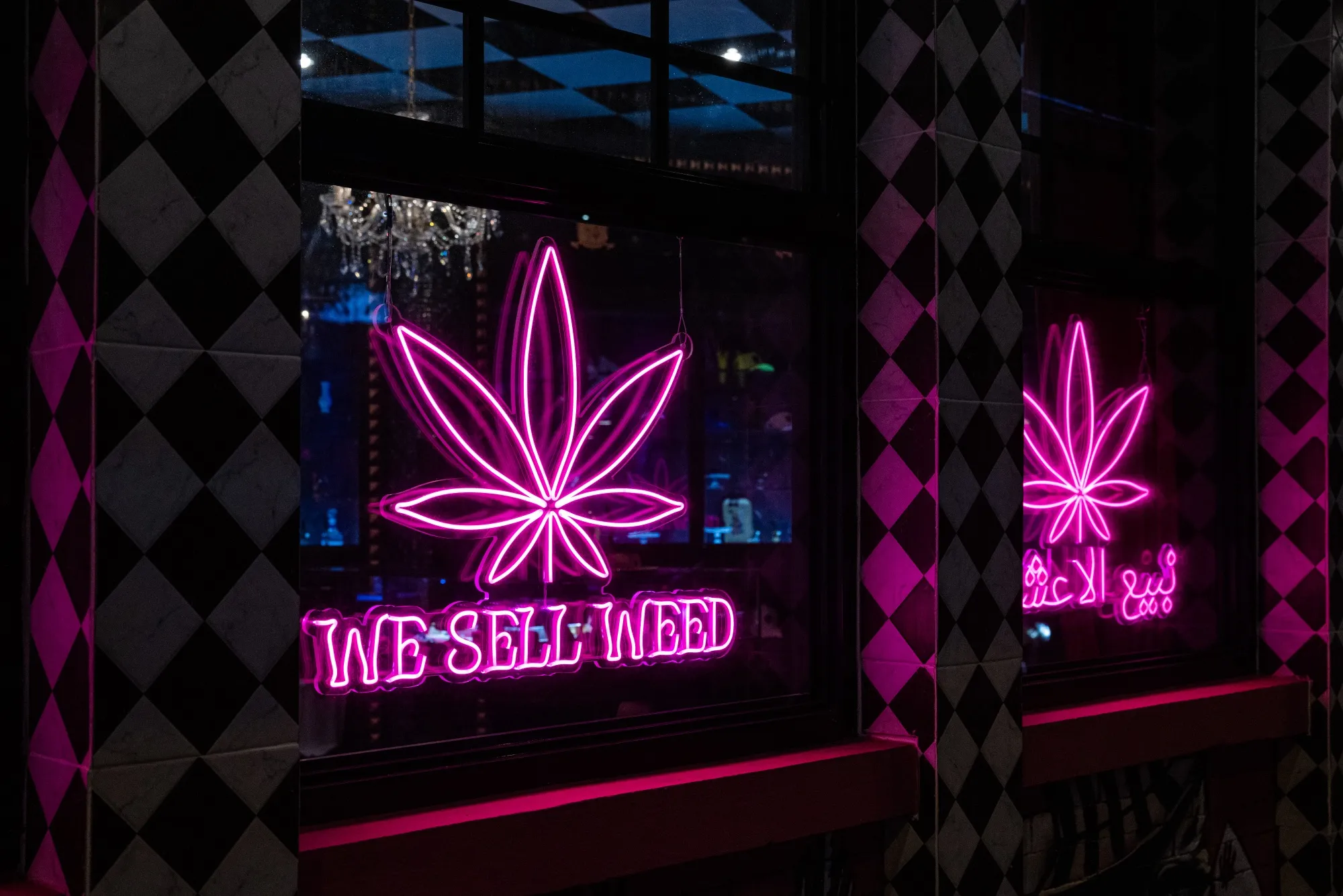The government will discuss plans for a draft bill to regulate the cannabis industry and wider uses of the plant.