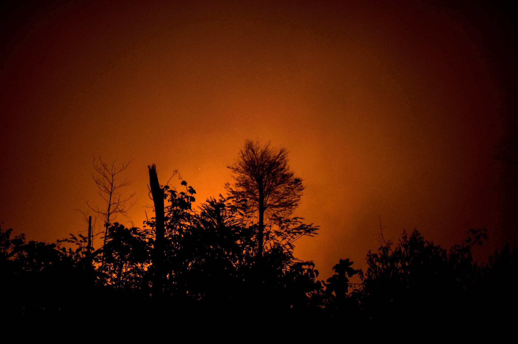 A ha Forest Fire.