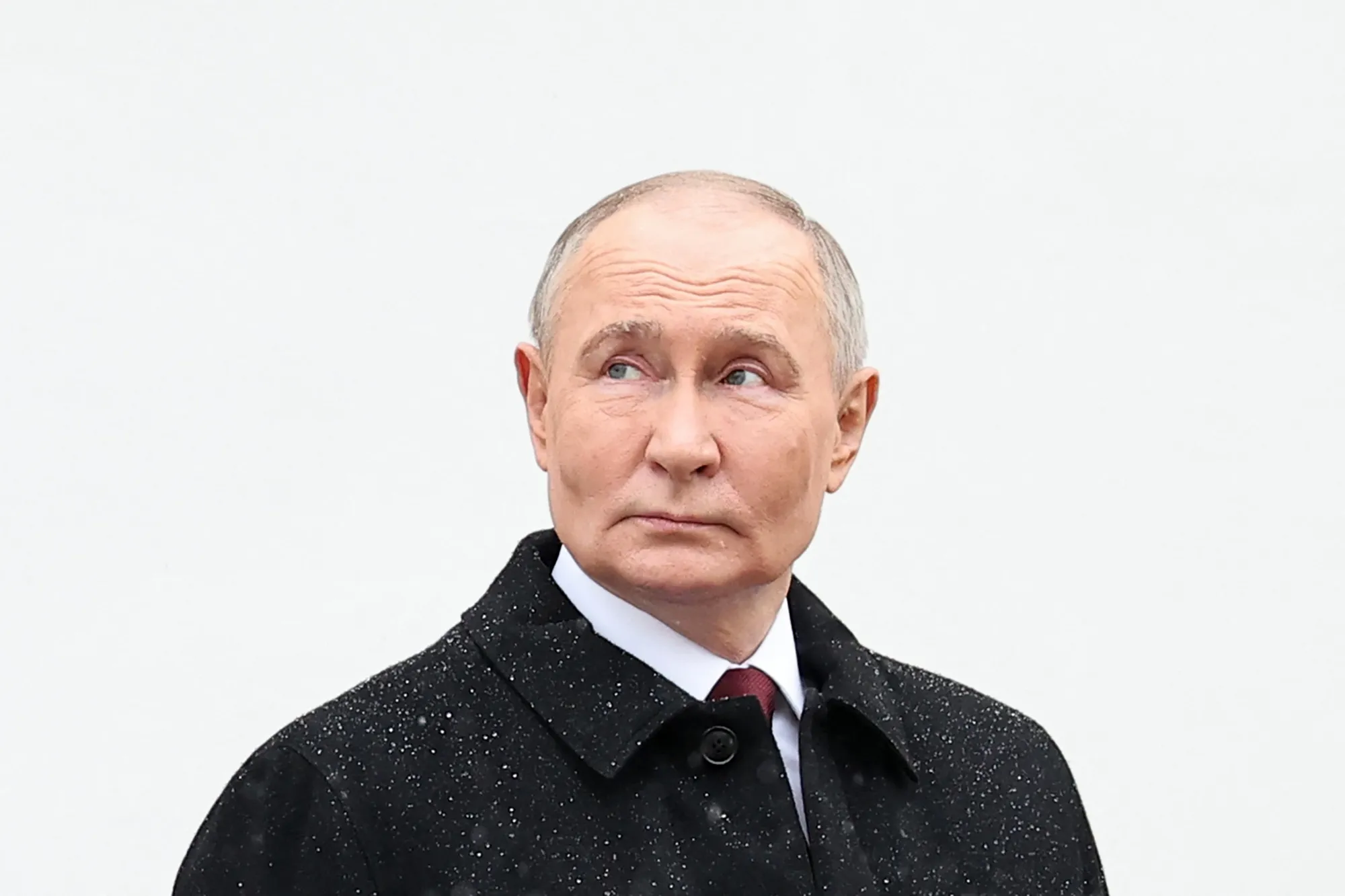 Vladimir Putin&nbsp;is seen in this photograph distributed by Russian state agency Sputnik.