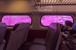 relates to Philadelphia's Newest Art Venue: The Amtrak Corridor