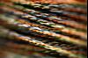 High End Data Cables Feed Into Servers