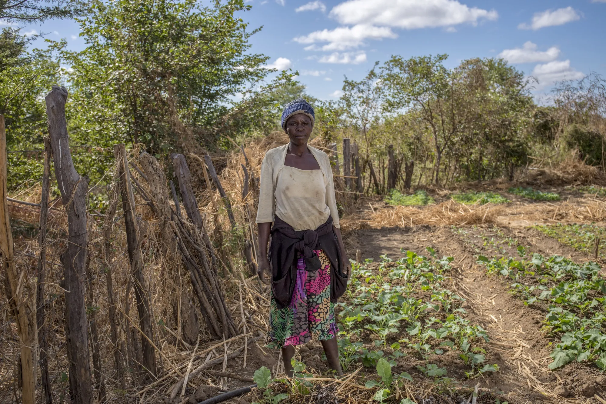 A Zimbabwean resident in her vegetable garden.