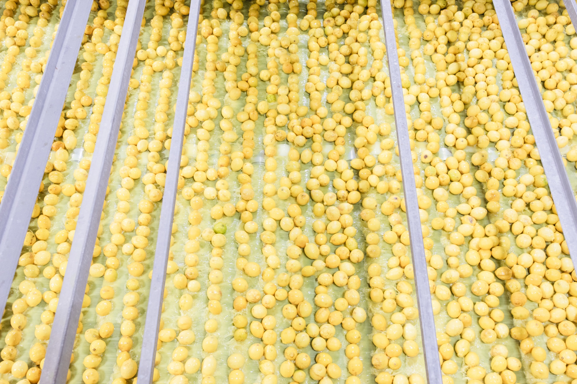 Chick-fil-A Lemonade Depends on Robots Squeezing Millions of Lemons