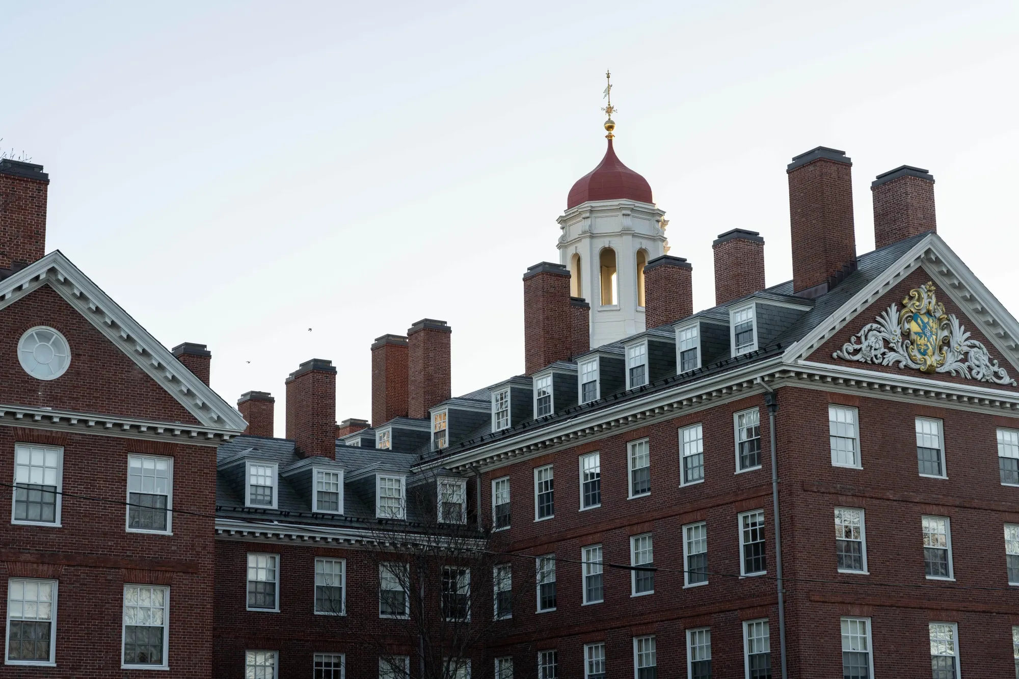 The Harvard University campus in Cambridge, Massachusetts.