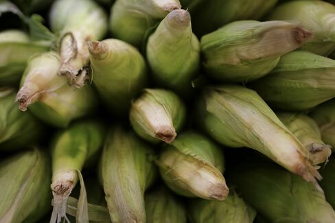 World Corn Crop Seen Falling as Grains Council Reverses Forecast