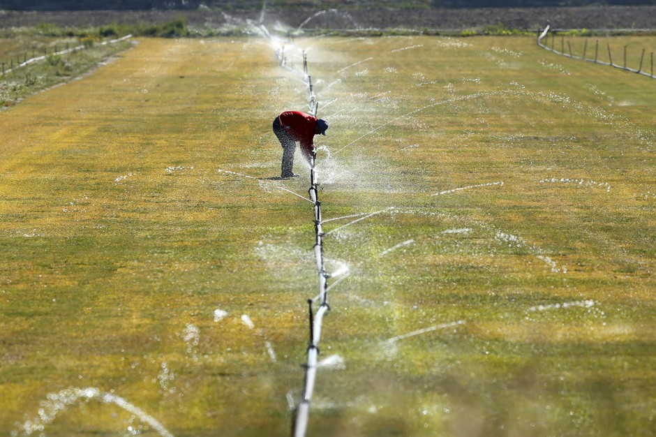 A worker adjusts a water irrigation system in a field near San Ysidro, California.
