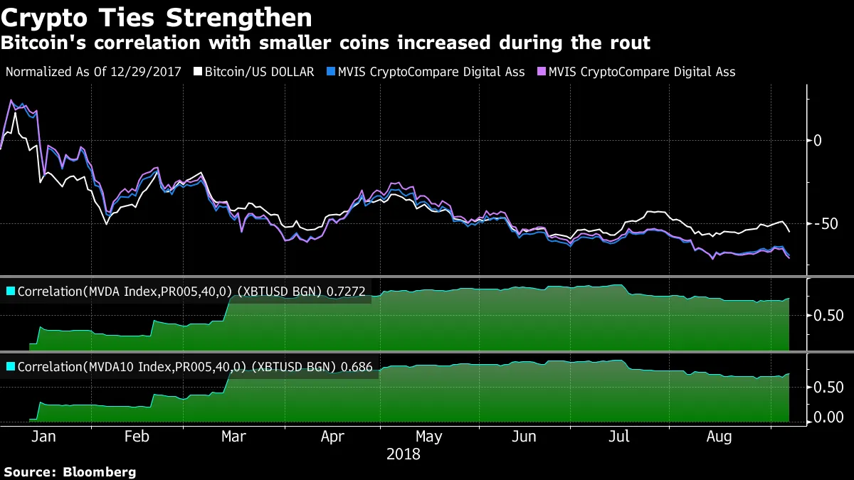 Bitcoin Price Crash: Nowhere to Hide In Cryptocurrency Slump - Bloomberg