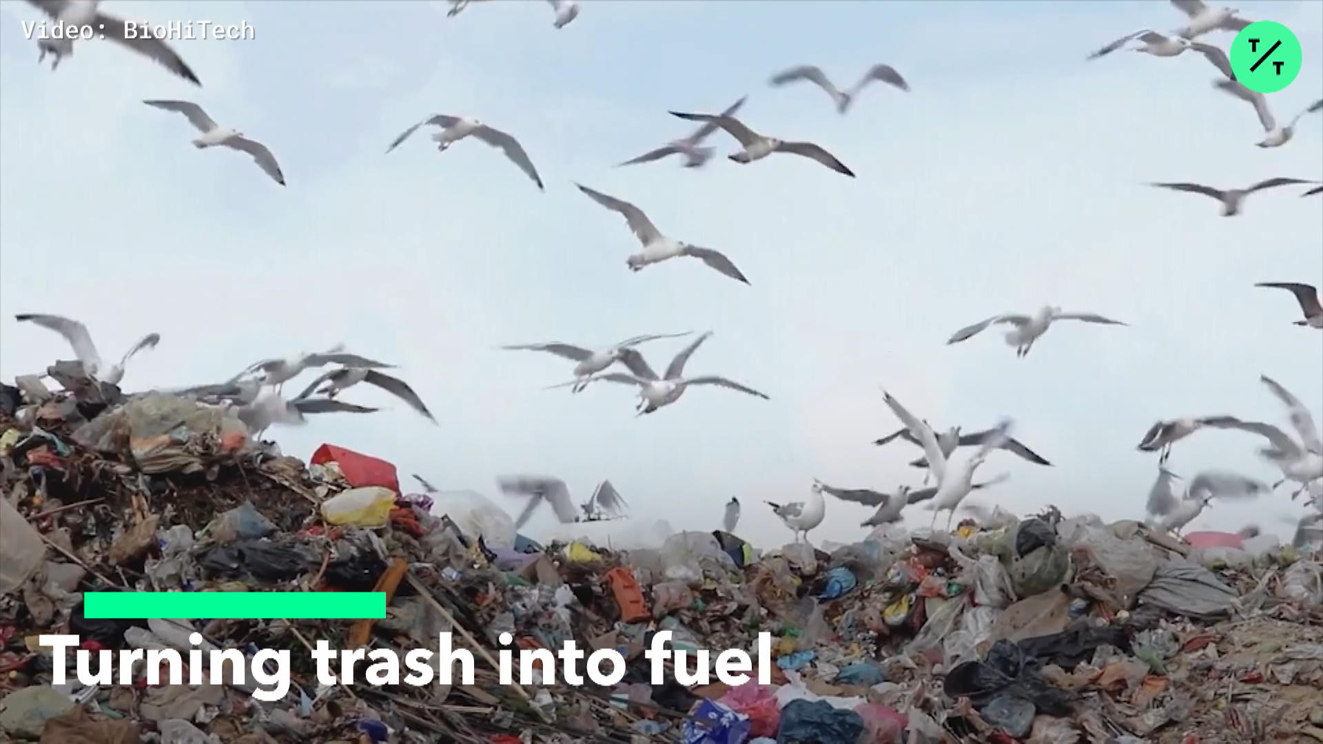 Watch Turning Trash Into Fuel Bloomberg