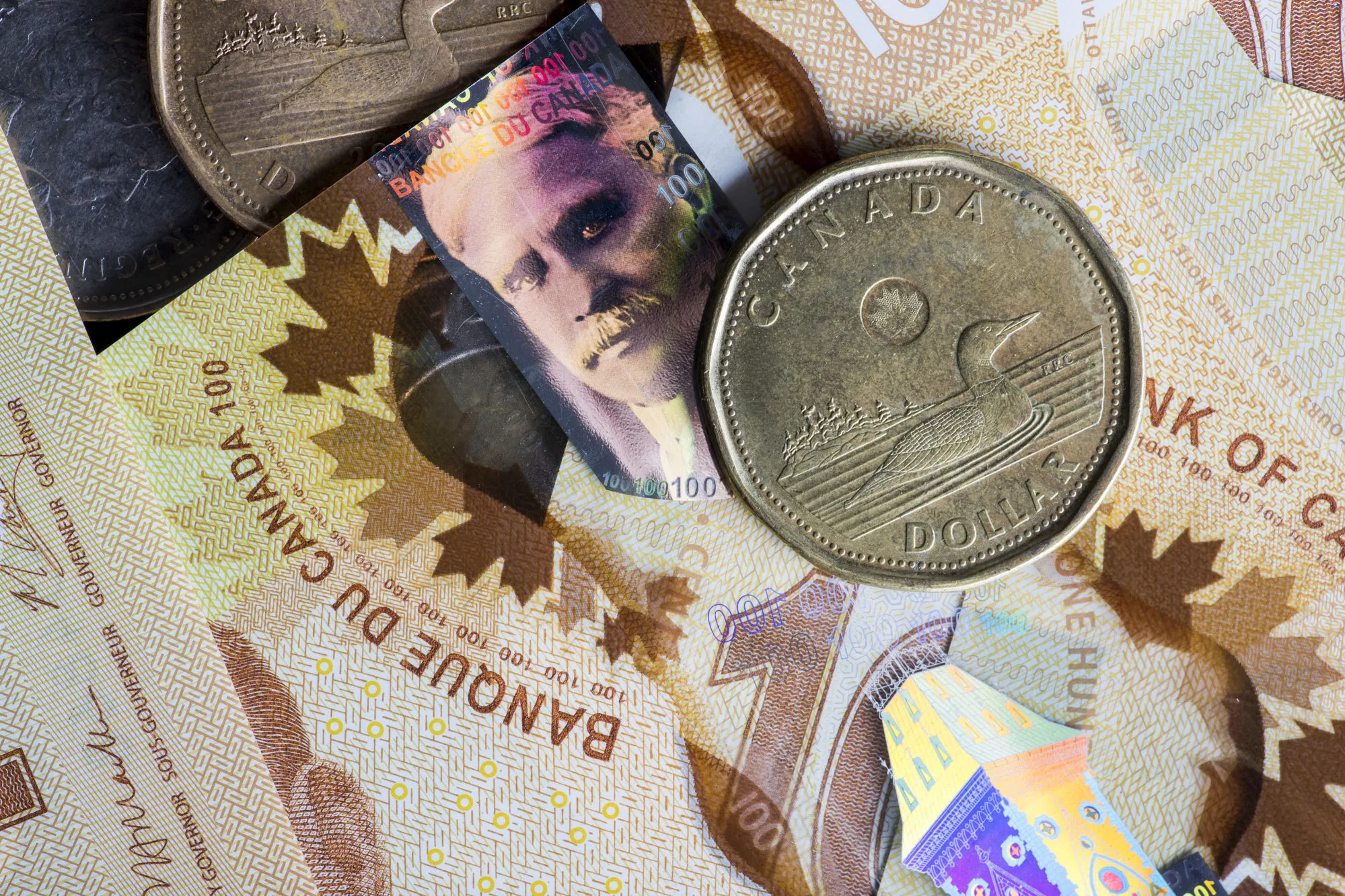 Dólares canadienses o "loonies"