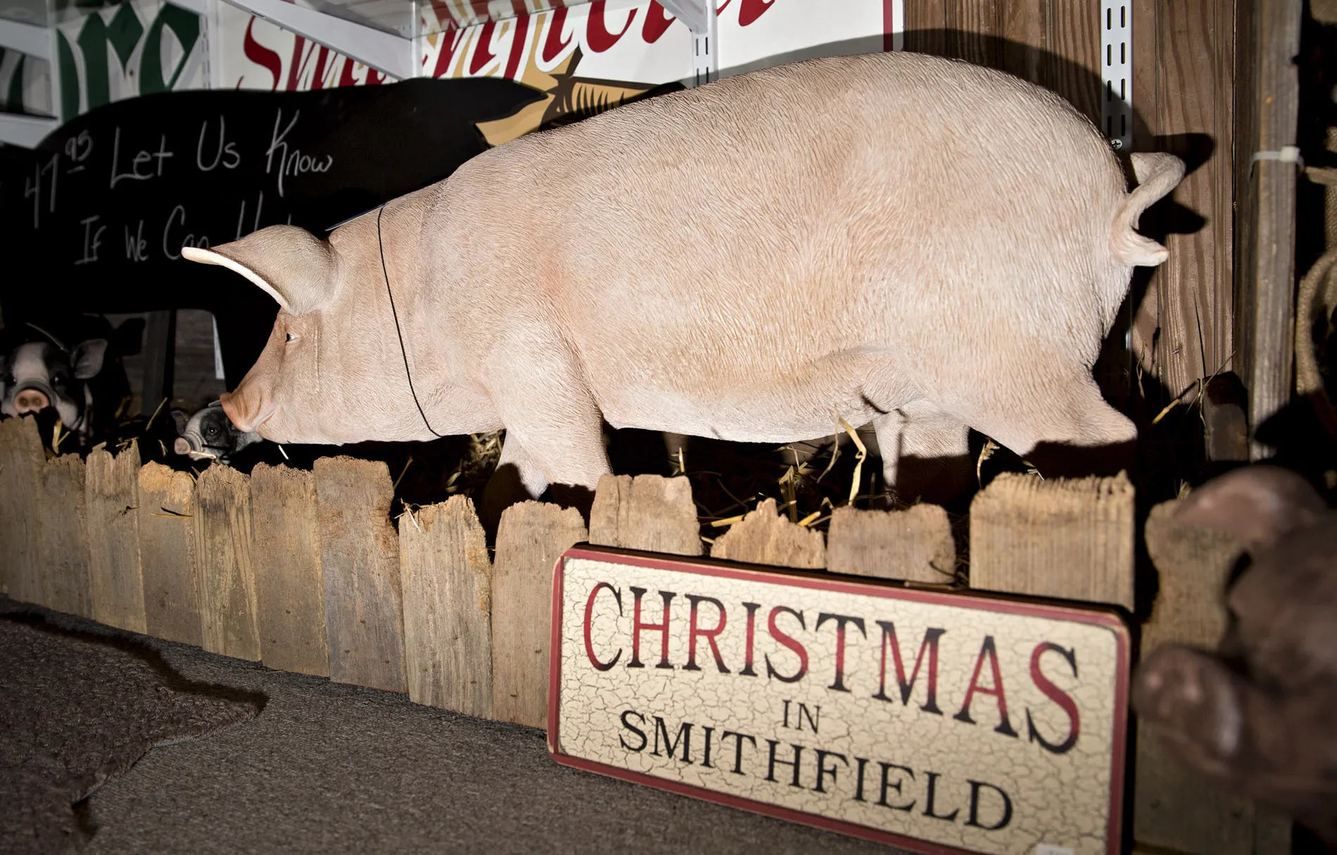 Pig decorations sit on display inside the Christmas Store in Smithfield, Virginia.
