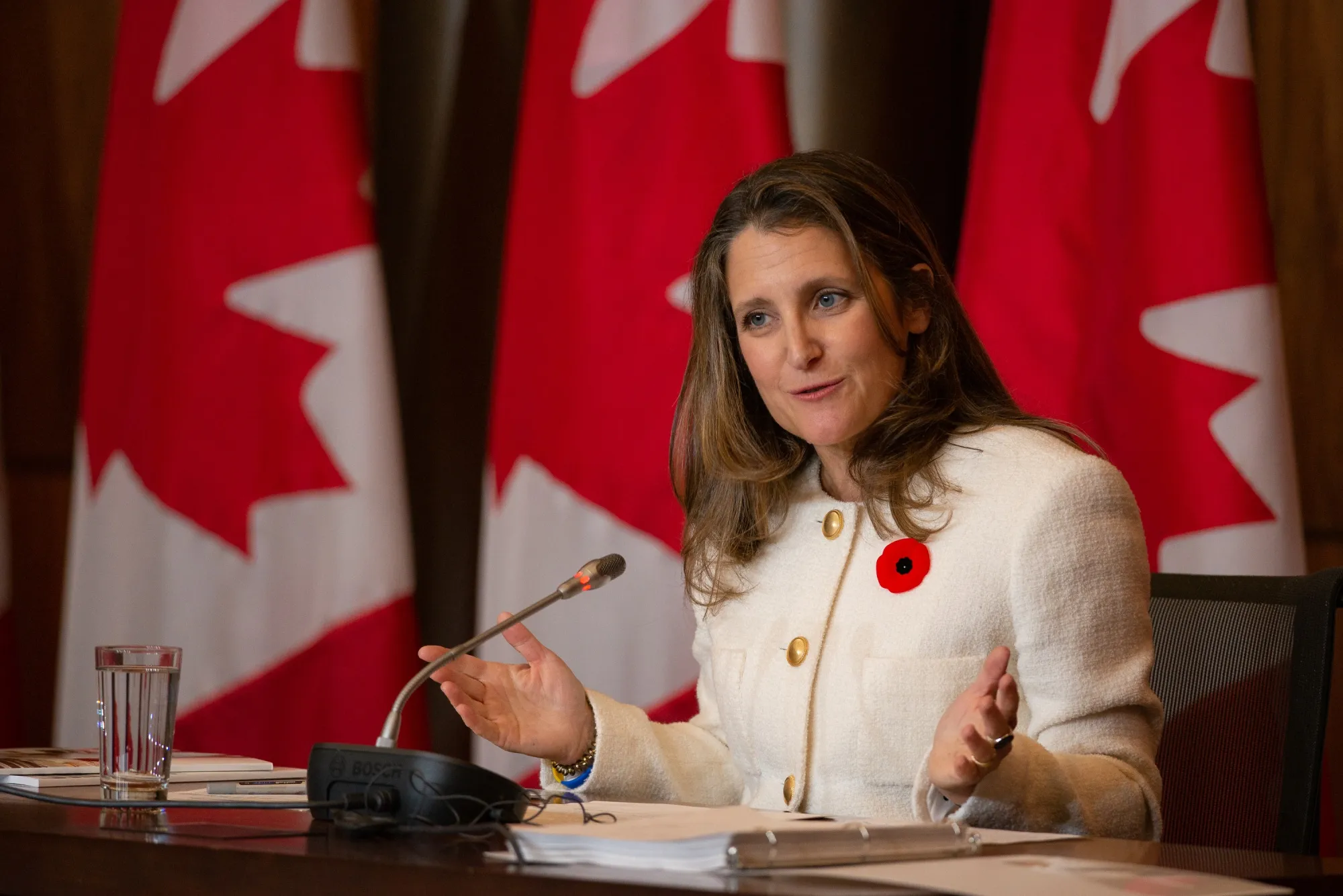Chrystia Freeland speaks during a press conference in Ottawa on Nov. 3.