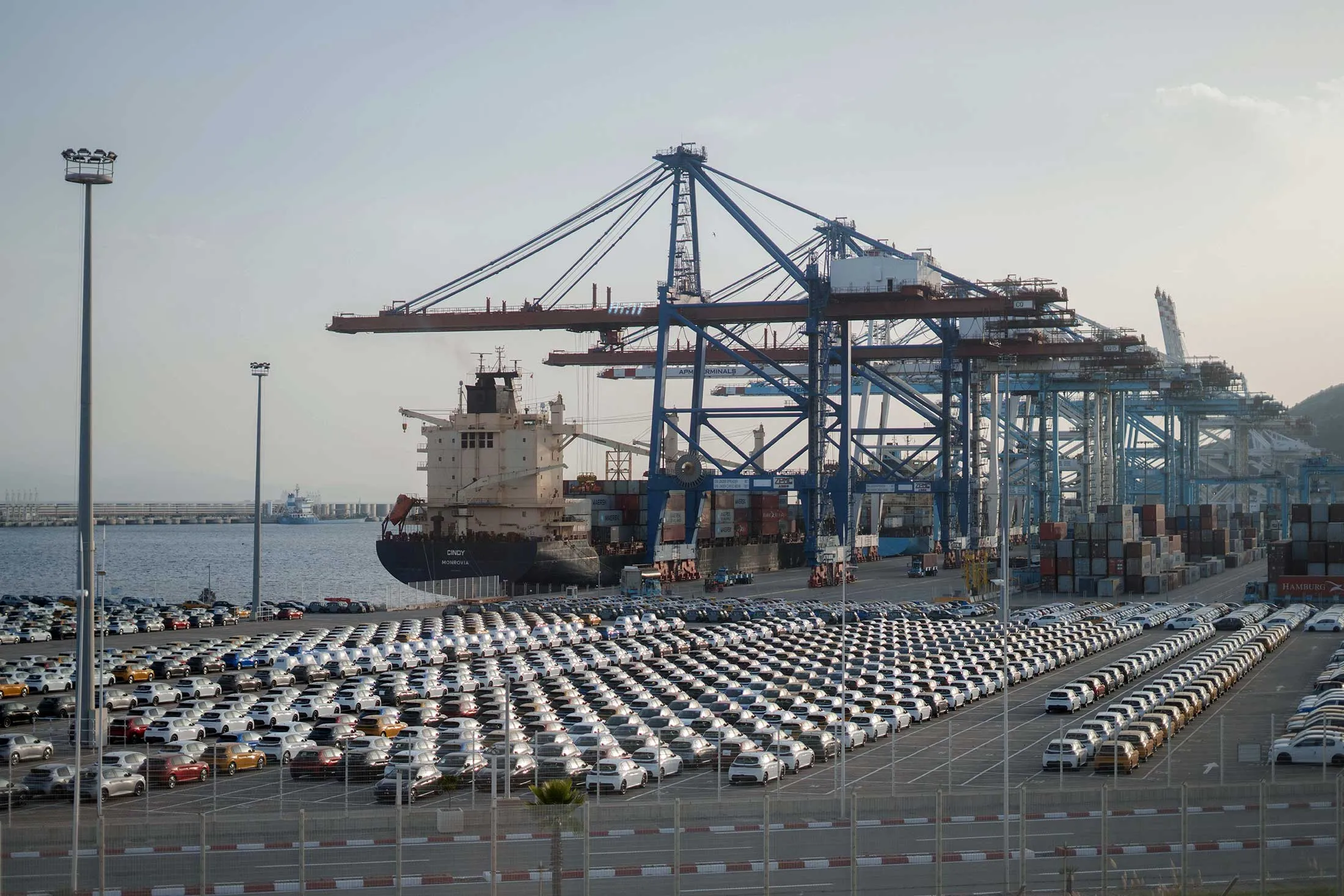 Cars lined up at the Port of Tangers in Morocco before being shipped to Europe.