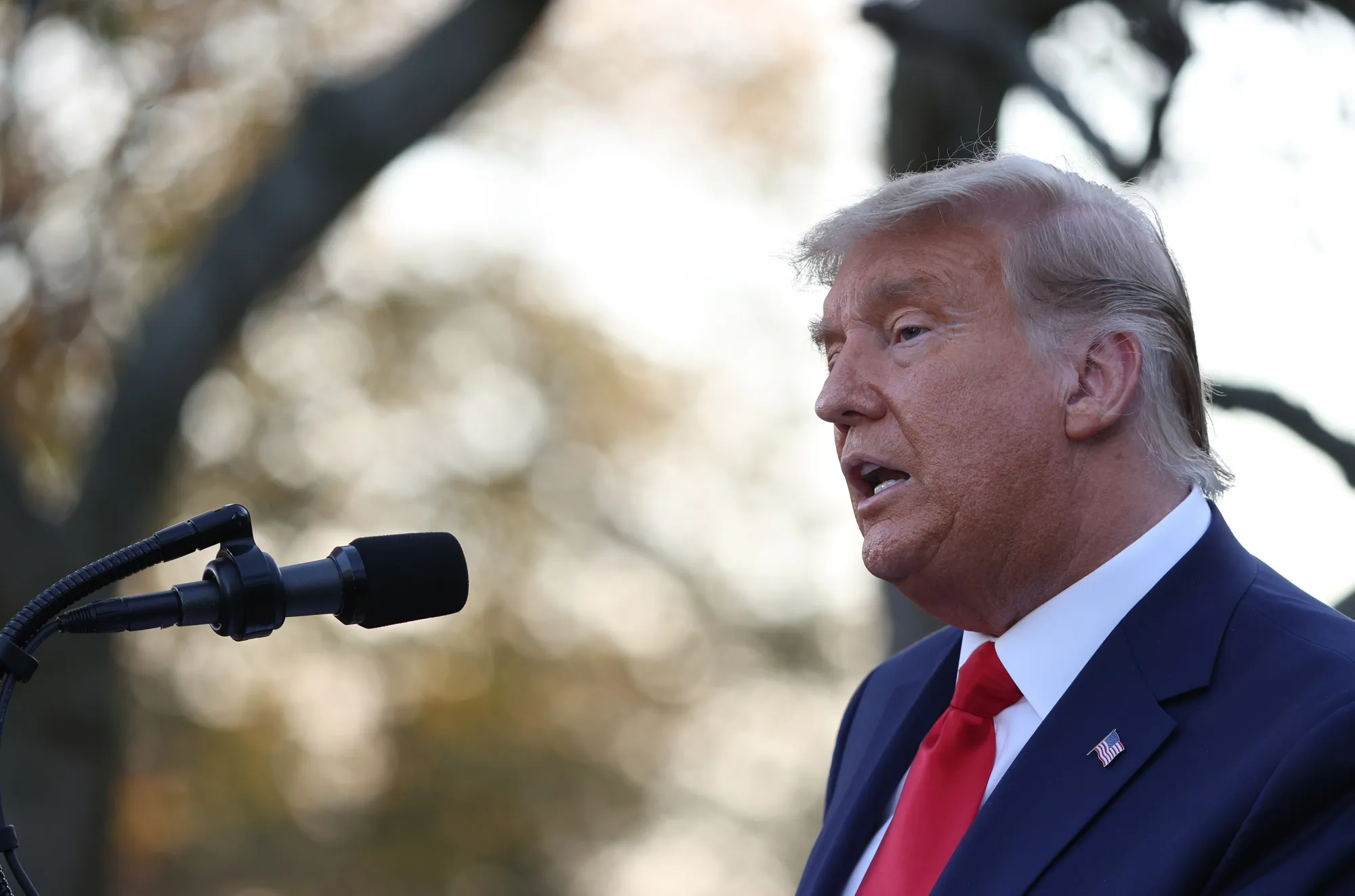 President Donald Trump speaks&nbsp;at the White House on Nov. 13.