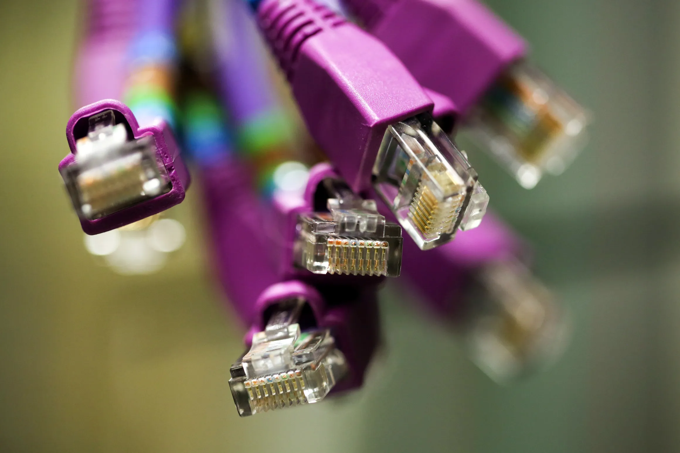 High End Data Cables Feed Into Servers