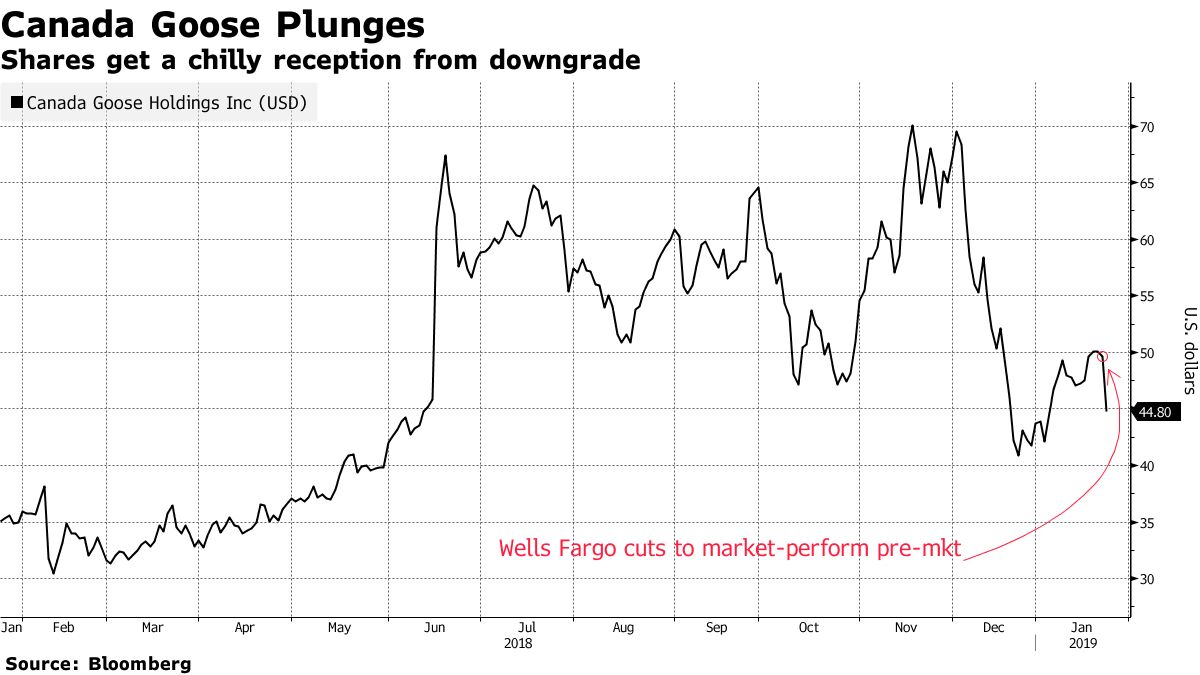 Canada goose holdings inc clearance wells fargo