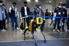 2022 RobotWorld