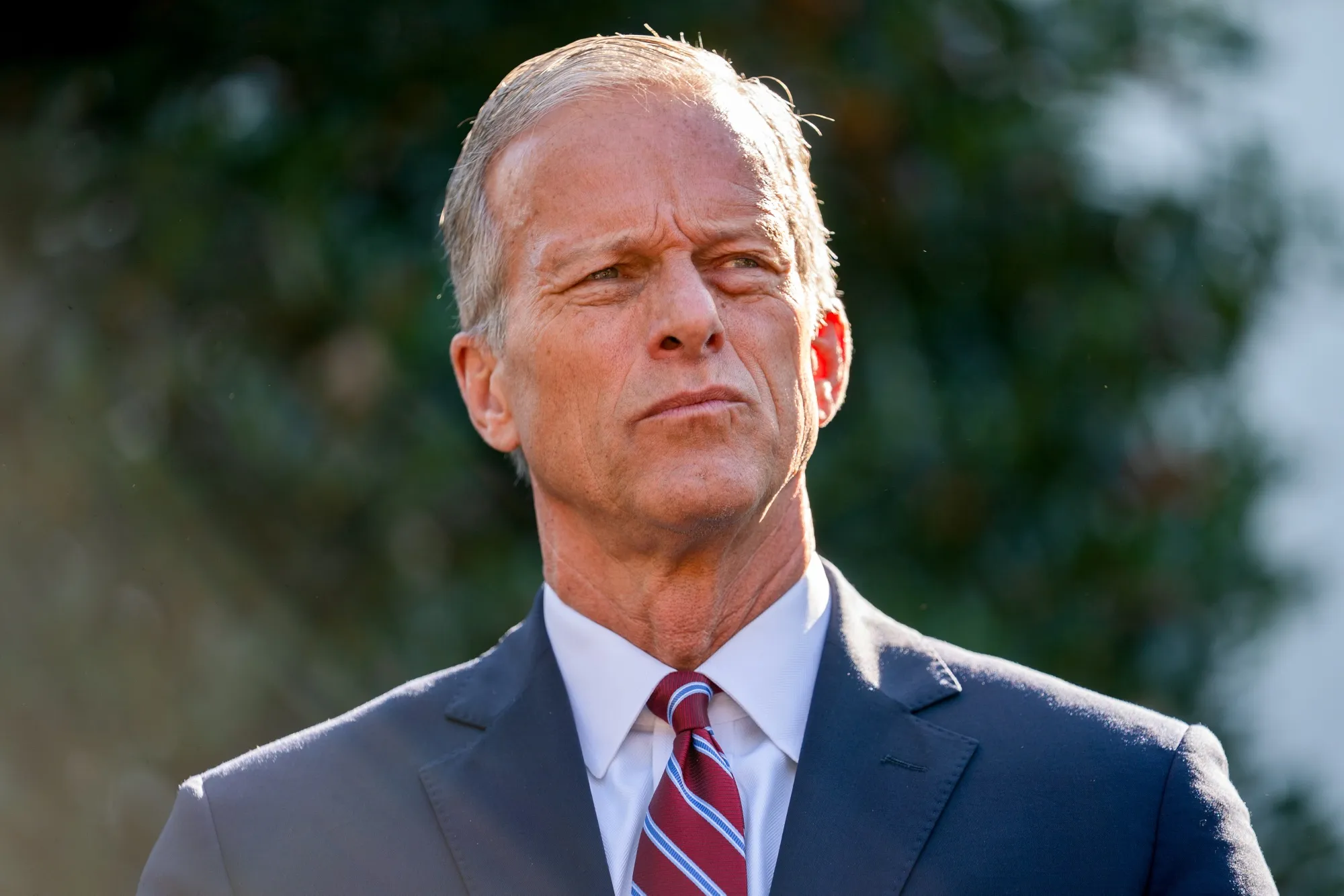 Senate Majority Leader John Thune